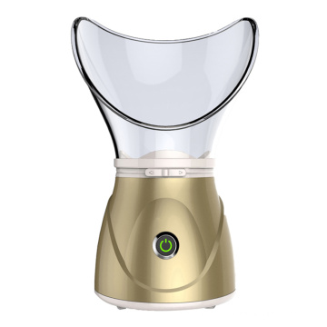 Vaporisateur facial Nano Ionic Hot Mist Humidifier Atomizer